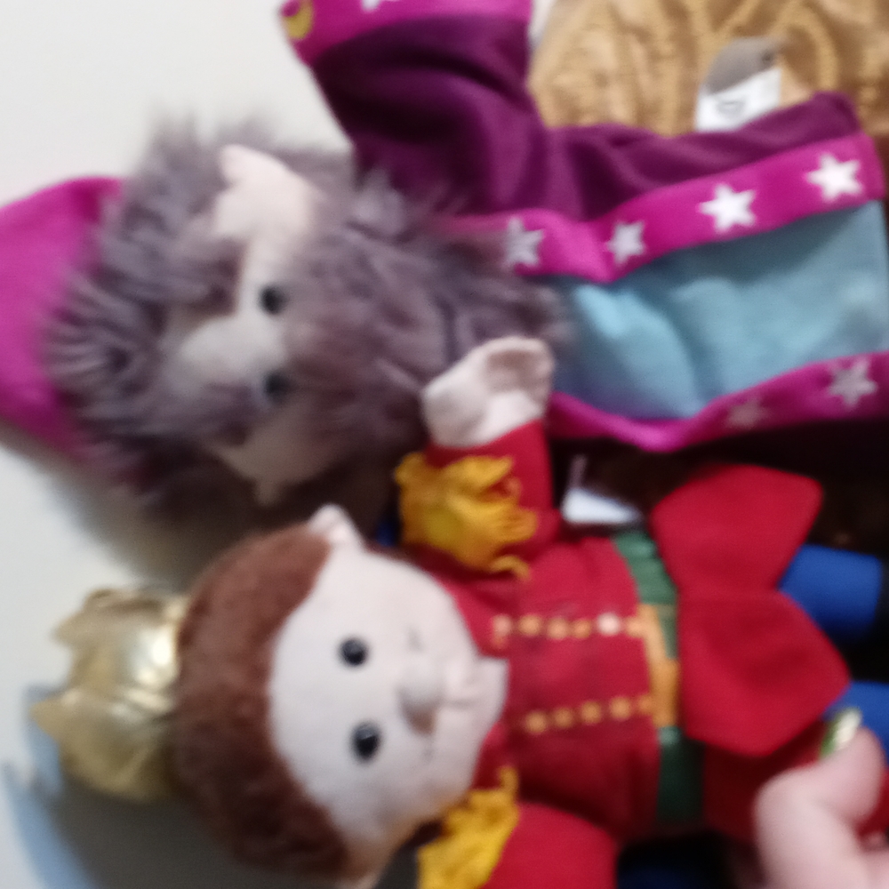 Royal Hand Puppet Story time